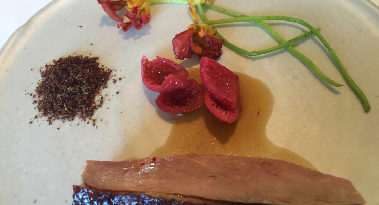 Brae Restaurant Review degustation Pekin Duck, quandong, dried liver