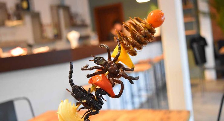 IMG - Bugs Cafe Siem Reap - Food blogger